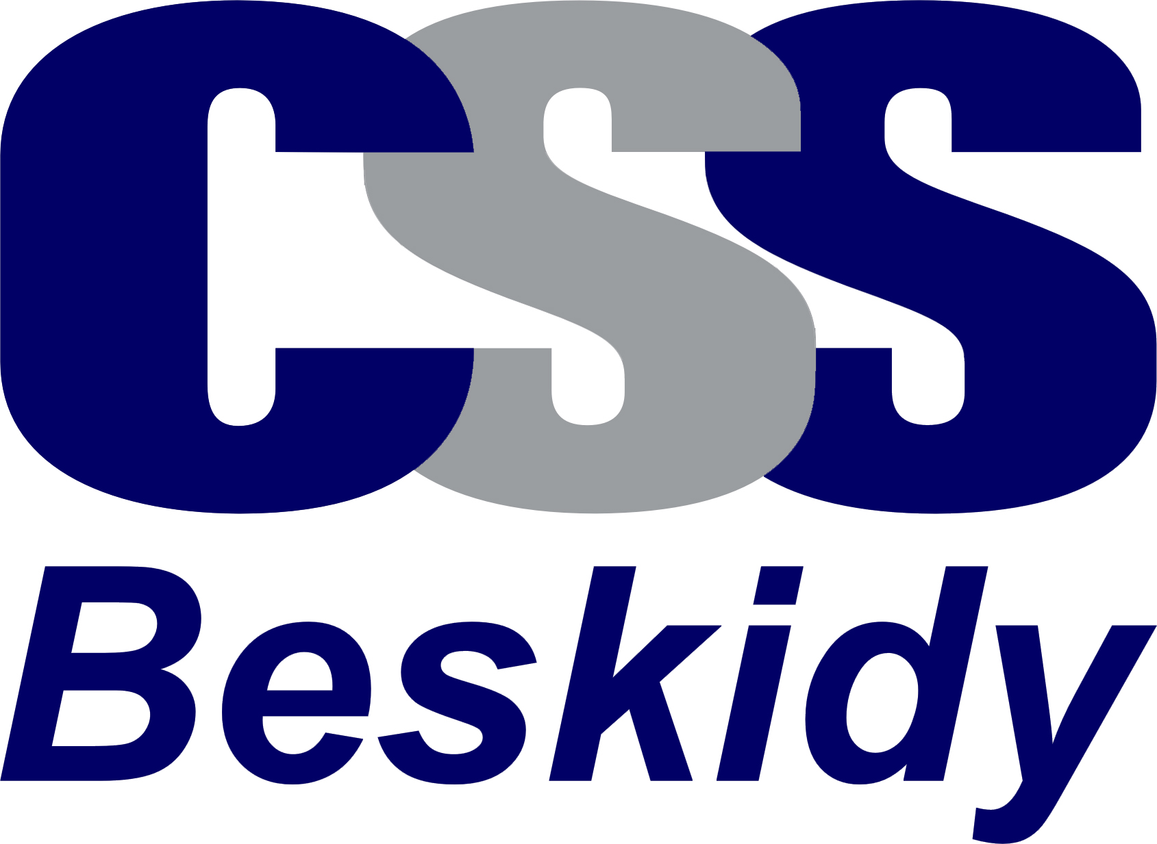 Computer Service Support - Beskidy Sp. z o.o.